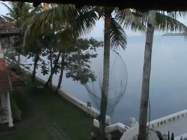 What would you do if your fishing net got stuck in a tree?