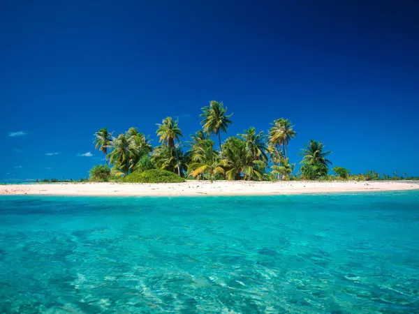 You're stuck on a deserted island, and you can take two things. What would you bring?