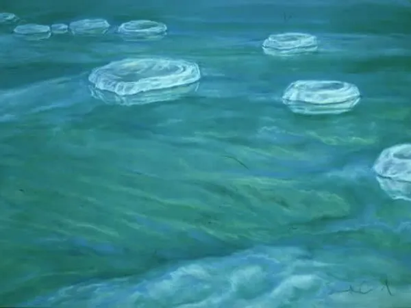 If You Friend died in a dead sea... What would you do?