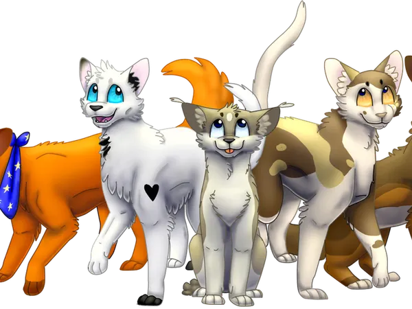 is your oc a Tom or a She-cat