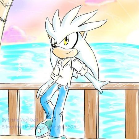 You ran into to a gray hedgehog who smiled at you.