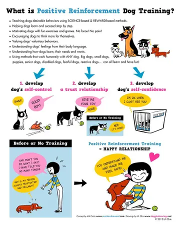 What is your stance on pet training?