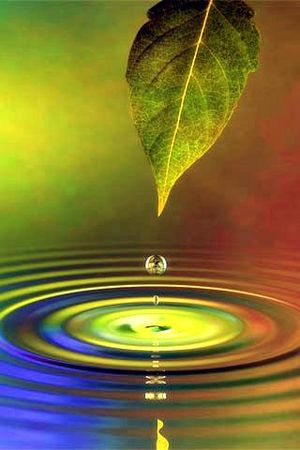 What is your favorite color or closest to your favorite color?