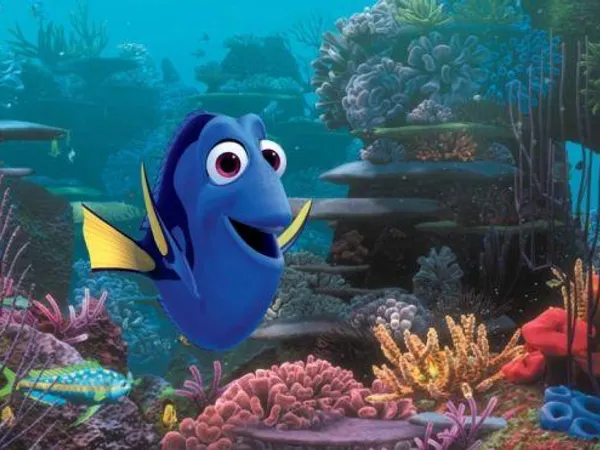he went the wrong way... dory went left... or was it right?