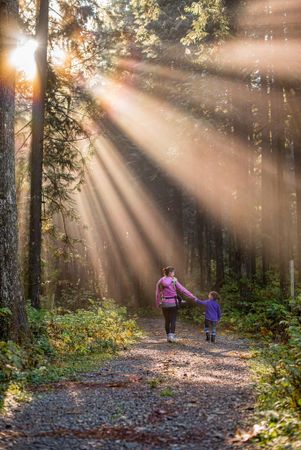 How do you feel about daily walks?
