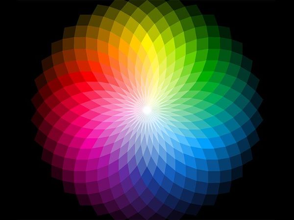 What is your fav. color?
