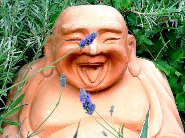 What would make you laugh hard at a one-liner?