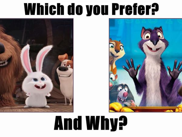 What would you choose as a pet?
