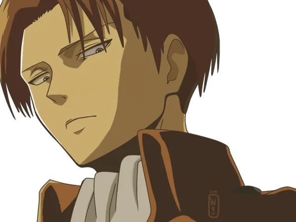 Levi or nah?