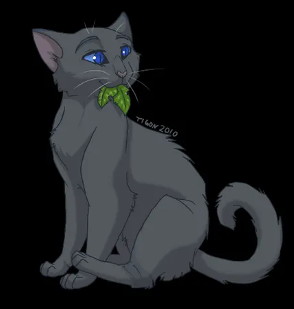 Do you want to be a medicine cat?