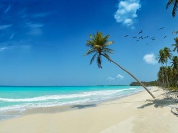 If you were trapped on an island and you could bring 1 celebrity, who would it be?