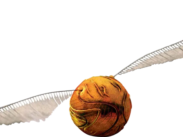 if you were to make the quidditch team what would you do..