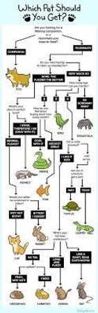 What type of pet would you have?