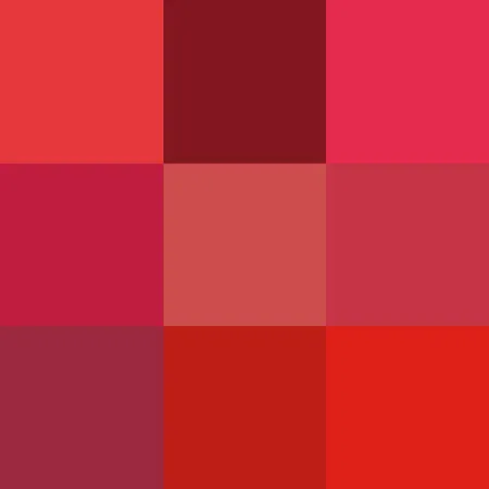¿Cuál es tu color favorito?