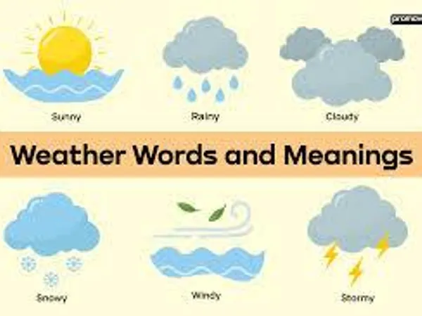 What type of weather do you enjoy the most?