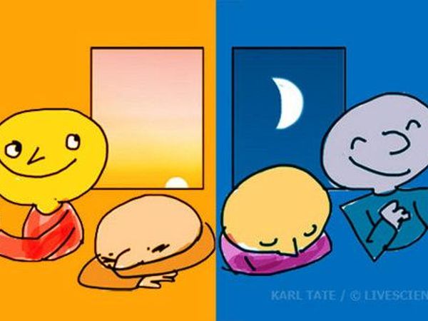 Are you a night owl or an early bird?