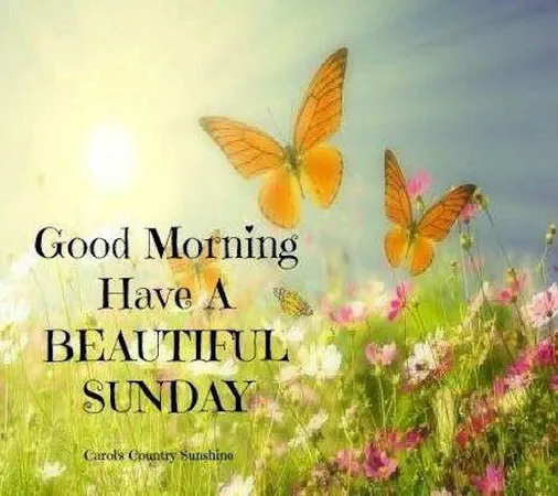 What do you do on a sunday?