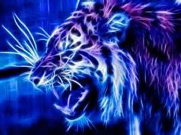 What is your favorite animal? (Right now, and out of these animals.)