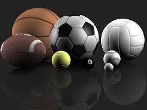 The next questions are related to your every day life. What is your favourite sport?
