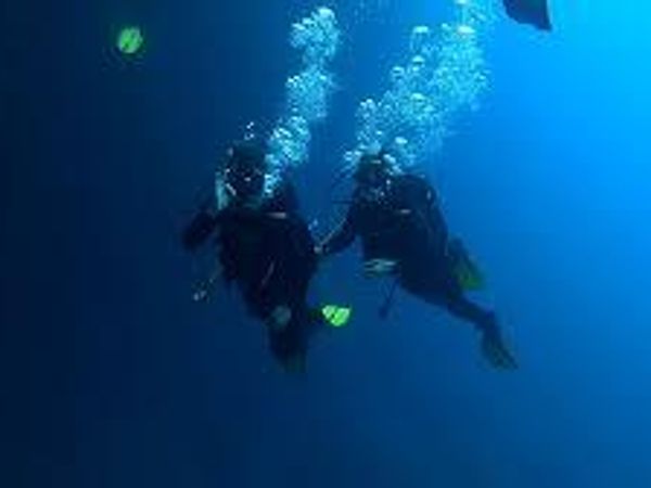 What's your ideal underwater activity?