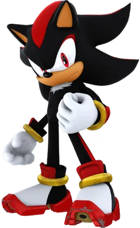 "Are you an idiot? Of course we're not going to kill her!" yelled knuckles. He started to advance towards Silver, an angered look on his face before Shadow put a hand on his chest to stop him. "Enough".