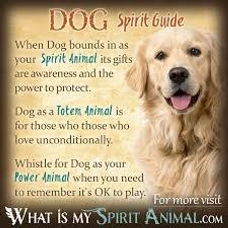 Choose a pet that speaks to your soul.