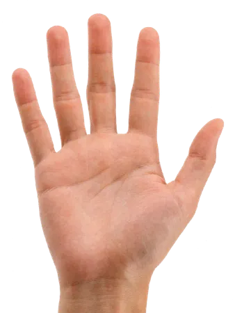 What hand do you use the most?