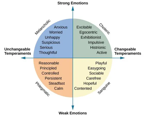 How would you describe your temperament?