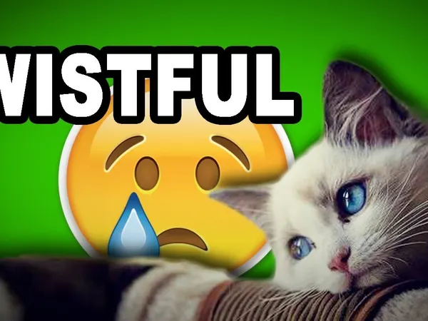 How do you cope with missing your partner?