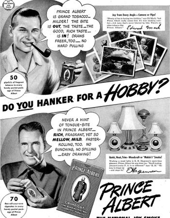 Which hobby do you enjoy?