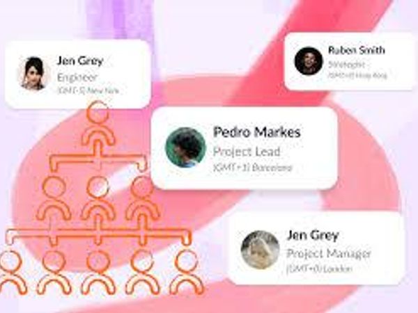 What's your role in a group project?