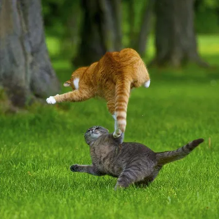Where would we go to hang out?