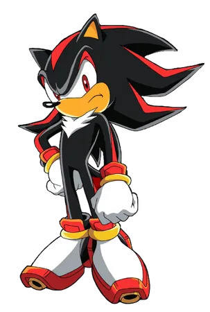 you see shadow looking at you with anger what do you do
