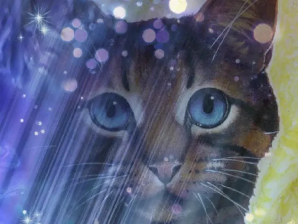 How many Warrior Cat books have you read?