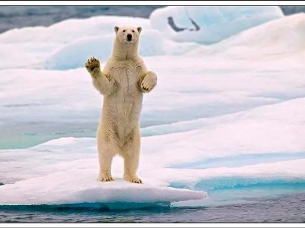 Hello!