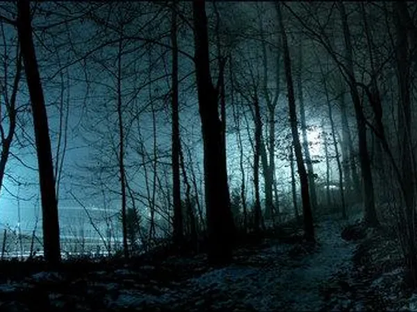 You See a Big Shadow in The Distance...