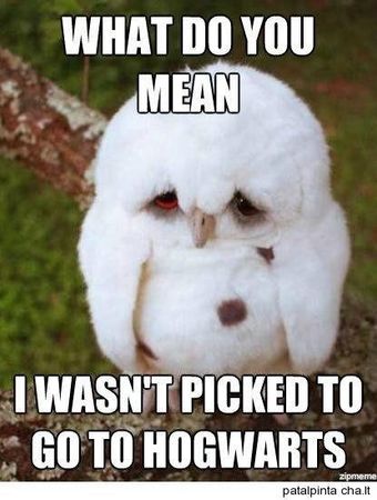 I didn't get a letter...