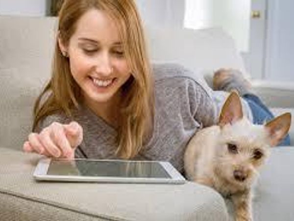 Choose a pet companion.