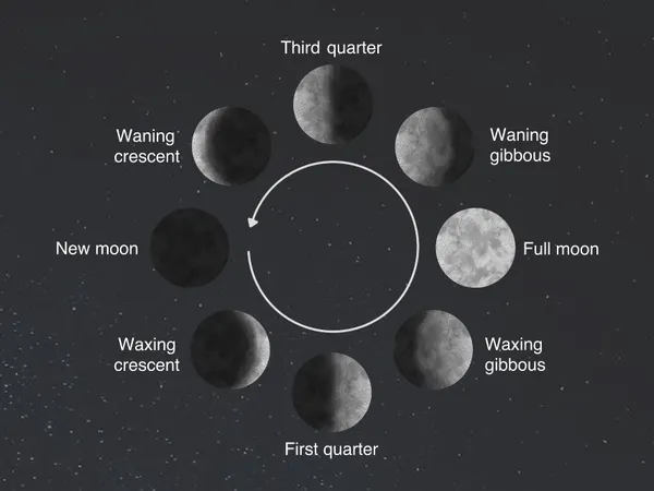 Which moon phase resonates with you the most?