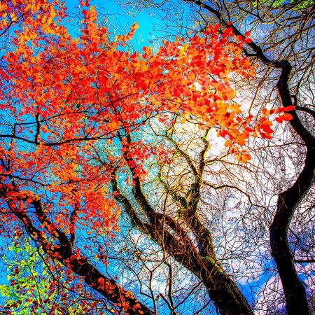 What is your favorite season?