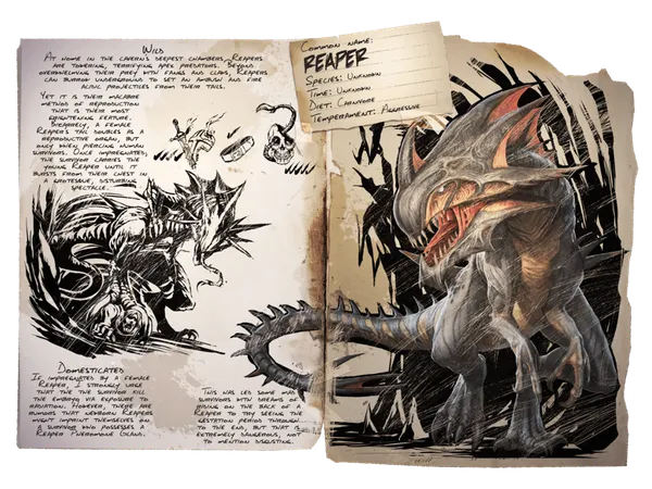 Which magical creature do you think is the most dangerous?