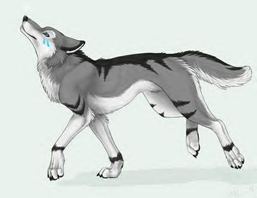 Which wolf do you prefer? Which wolf do you prefer?