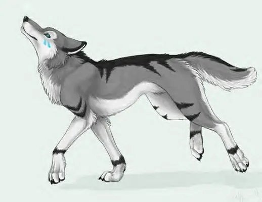 Which wolf do you prefer? Which wolf do you prefer?