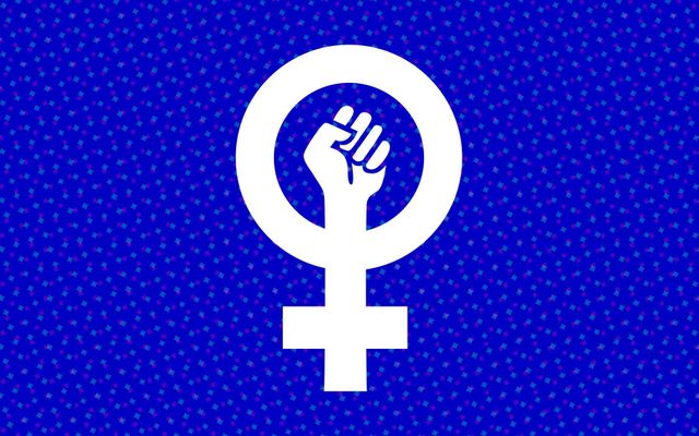 What is your opinion on feminists? What is your opinion on feminists?