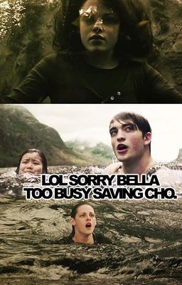 Cho vs bella Cho vs bella