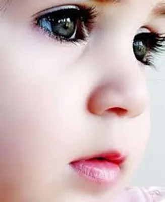 which baby is best which baby is best