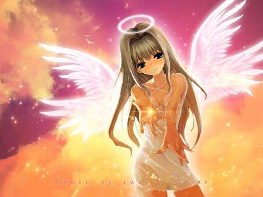 Which kute pet do u like? Which kute pet do u like?