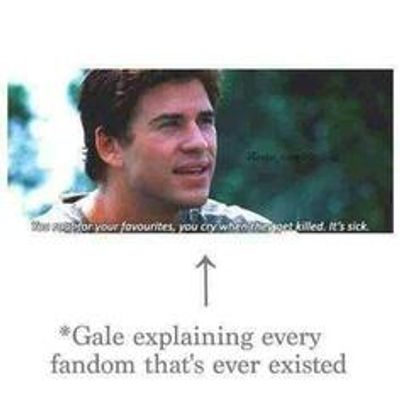 Which fandom are the craziest? - Books
