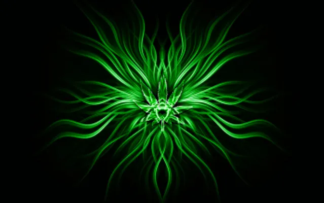 which colour: black or green?
