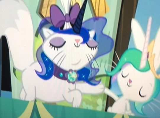 Which pet Princess is cuter?!?! Which pet Princess is cuter?!?!